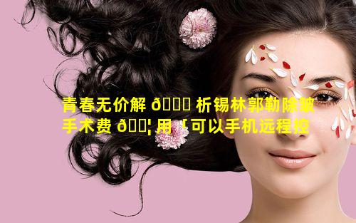 青春无价解 🐝 析锡林郭勒除皱手术费 🐦 用「可以手机远程控制天猫精灵开关家电」